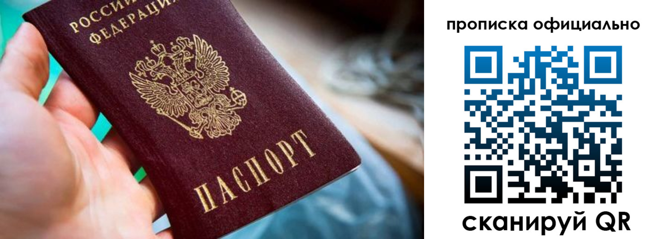 прописка поиск в Рошале